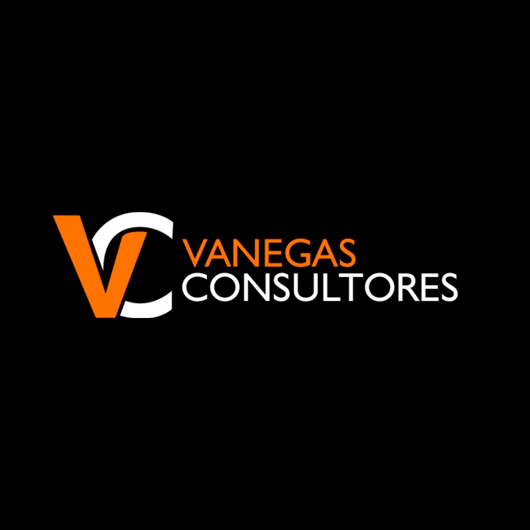 VANEGAS CONSULTORES